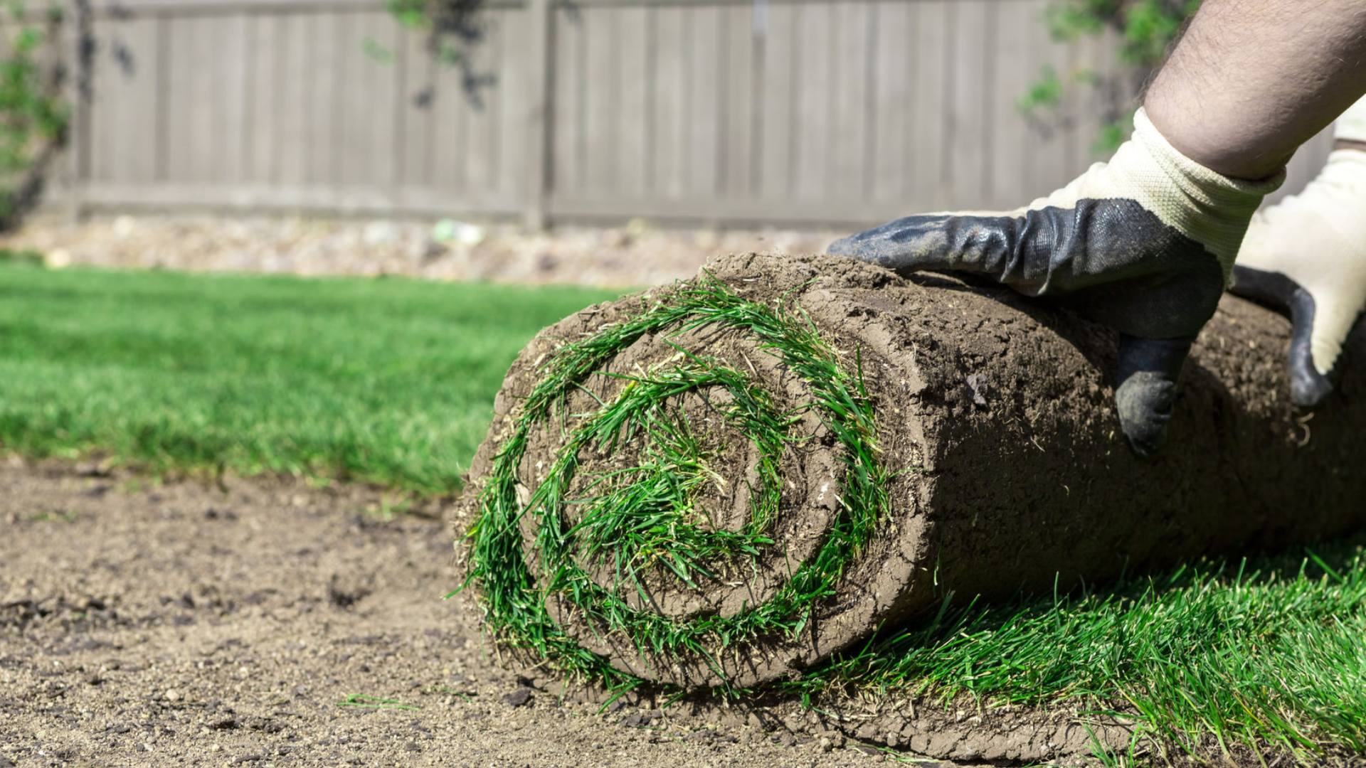 The Best Sod to Plant in the Portland Oregon Area
