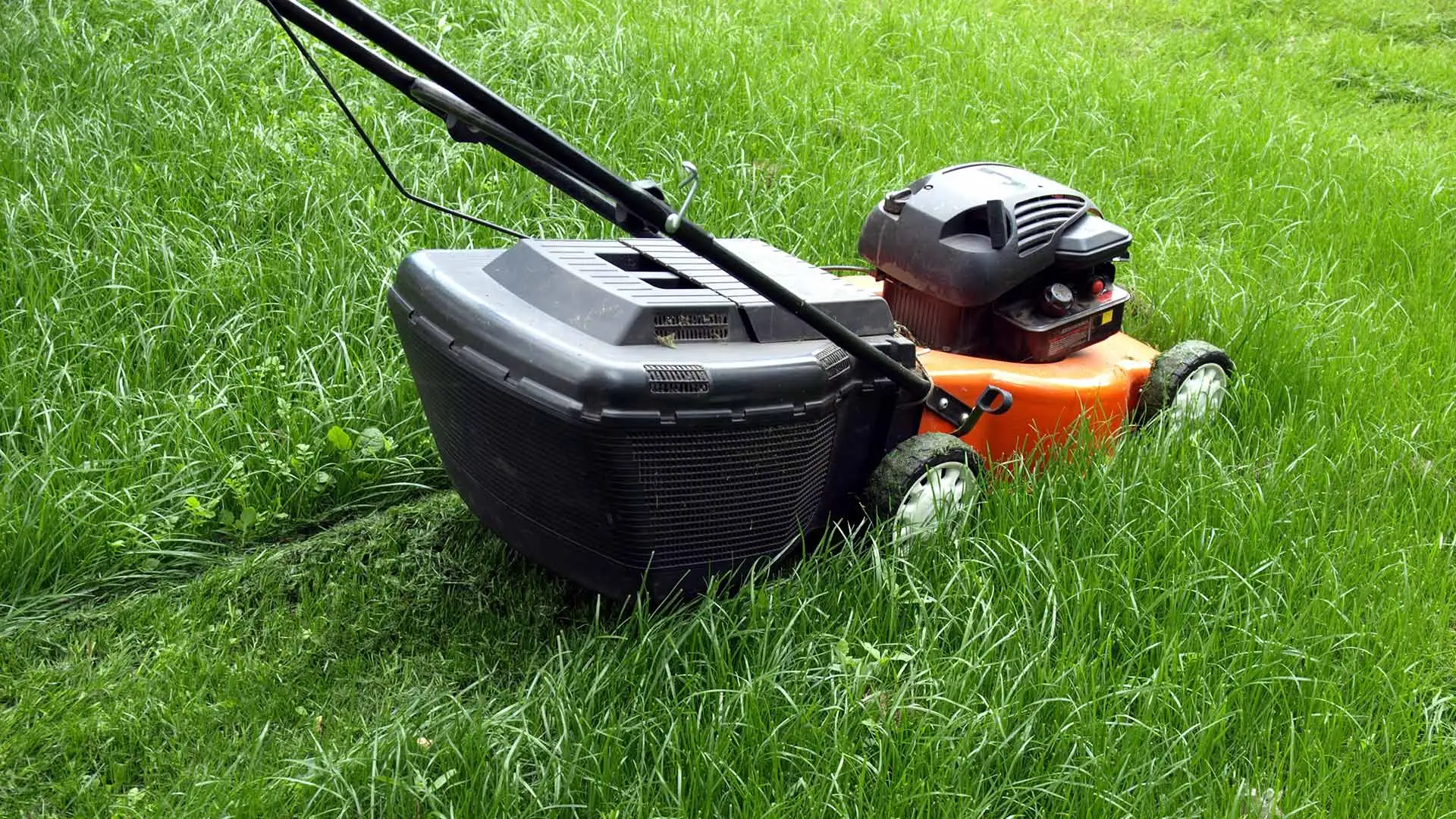 The Last Mow of the Year - Prepping Your Lawn for Winter Dormancy