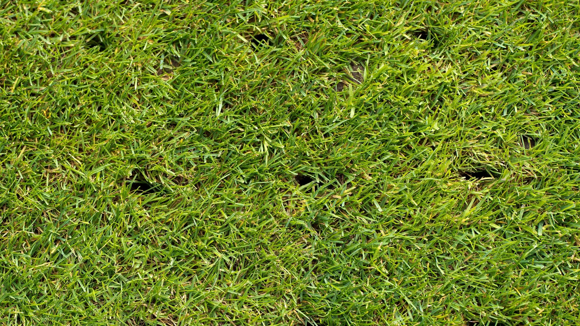 Does Core Aeration Help Address Thatch Buildup?