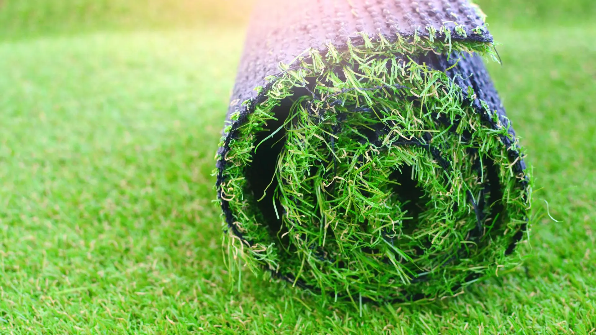 Get Inspired - 5 Great Places to Install Artificial Turf