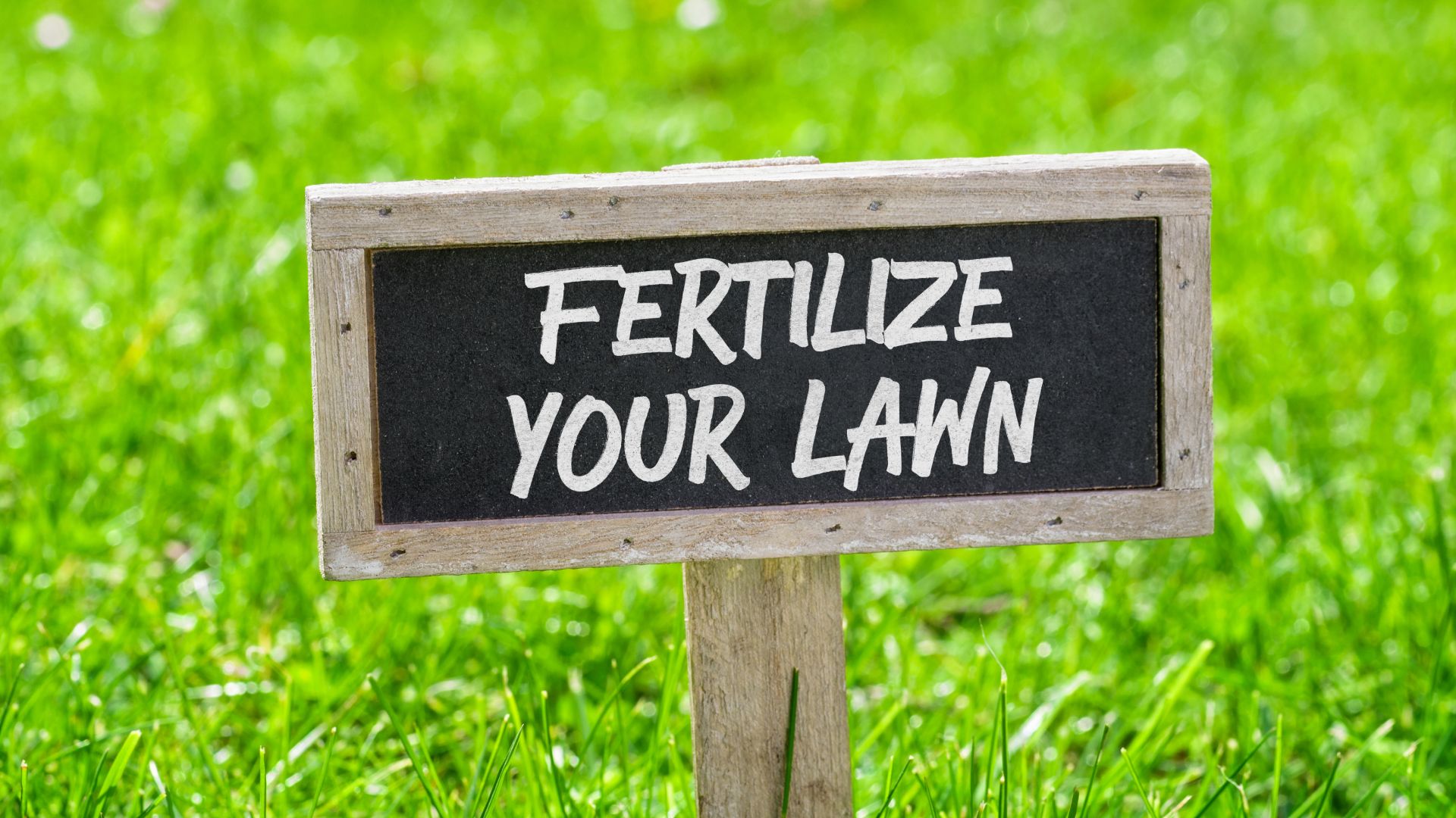 Fertilizer FAQs