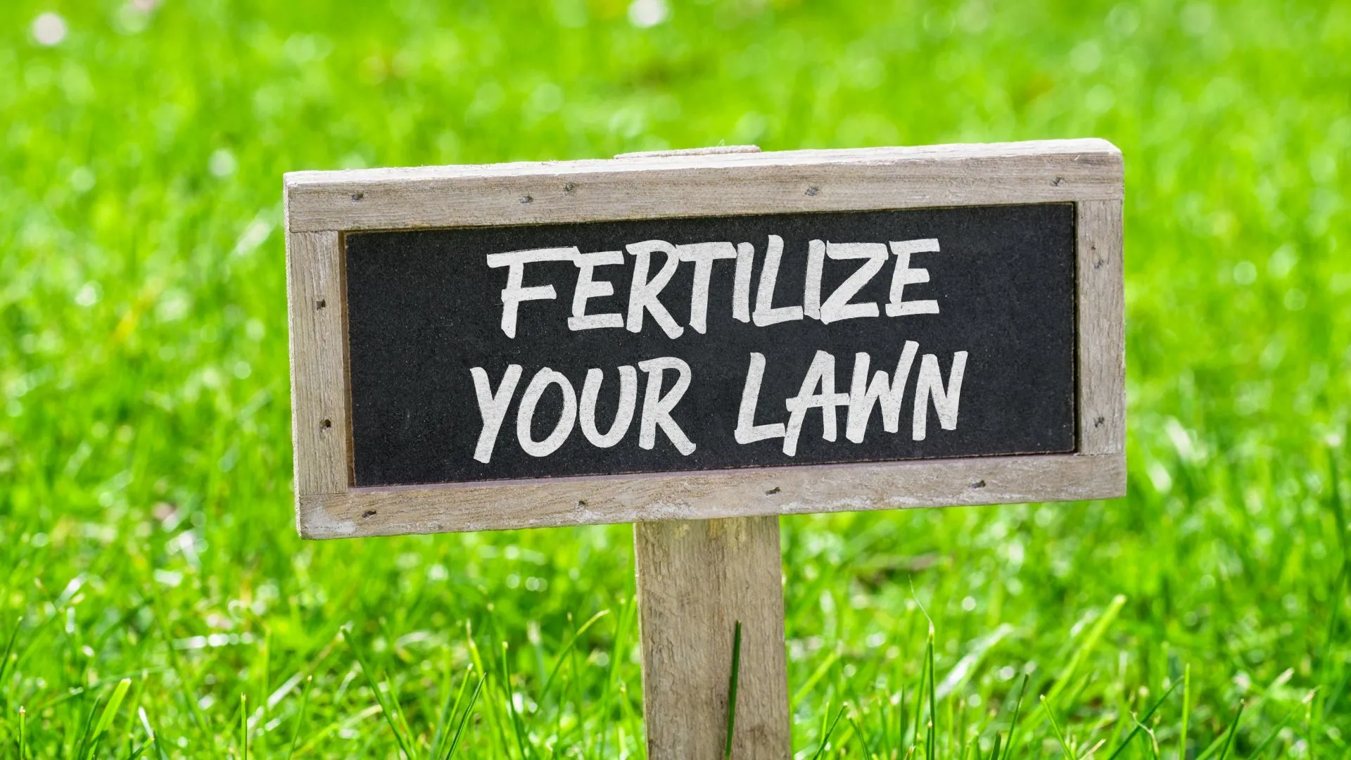 Fertilizer FAQs