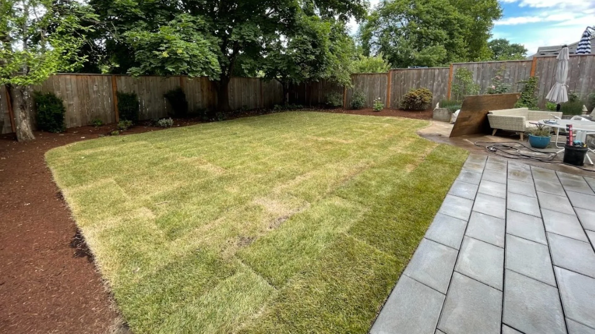 Will Sod Establish Roots Quickly After It's Installed?