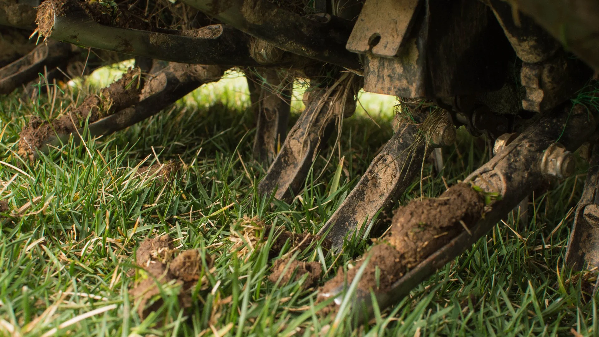 Getting Your Lawn Ready for Aeration - What Should You Do?