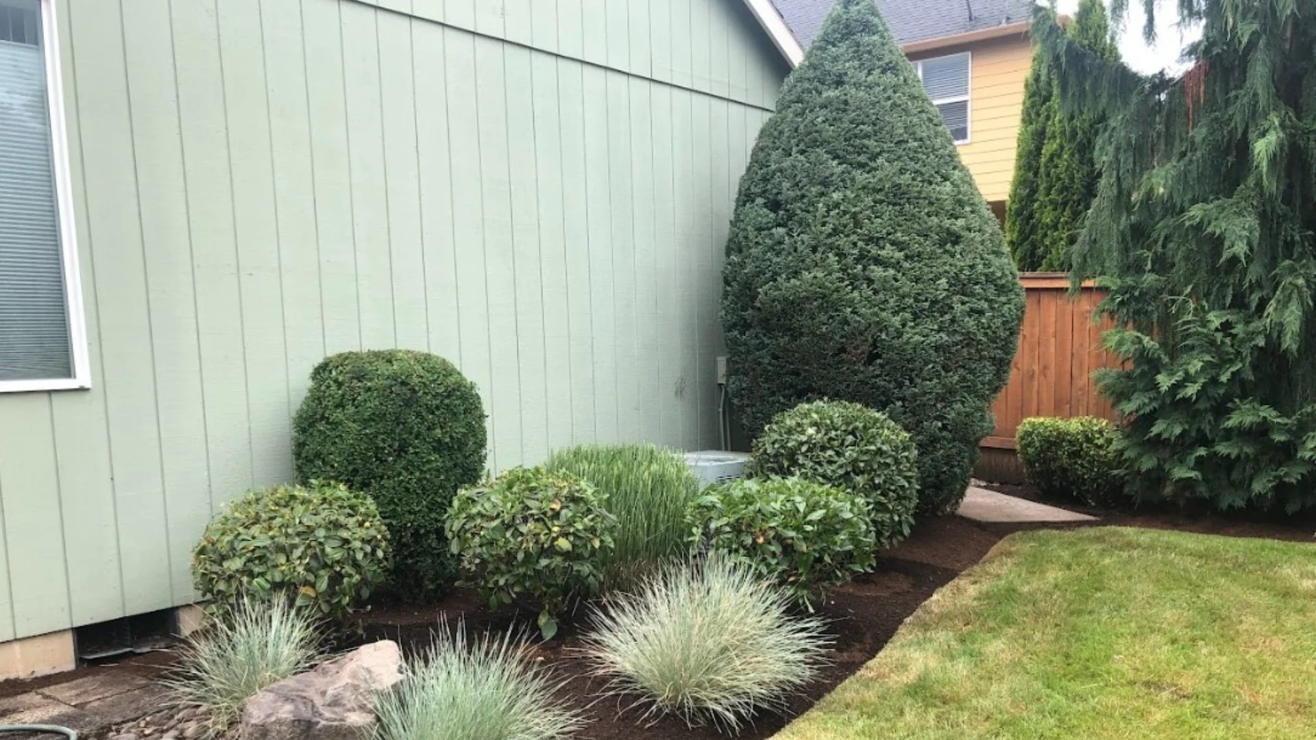 Why You Shouldn’t Skip Trimming Your Plants