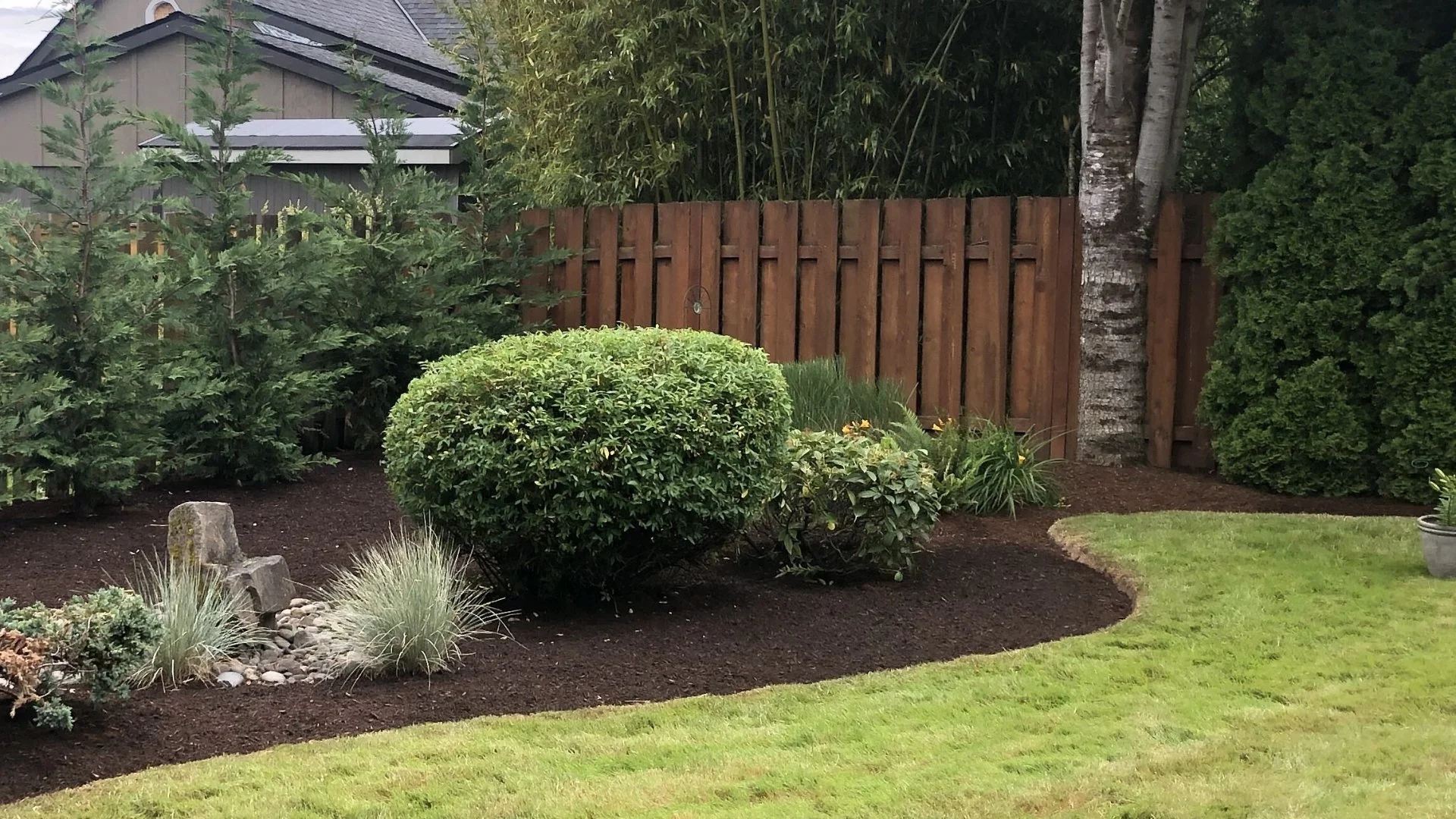 Mulch Can Improve the Health of Your Plants!