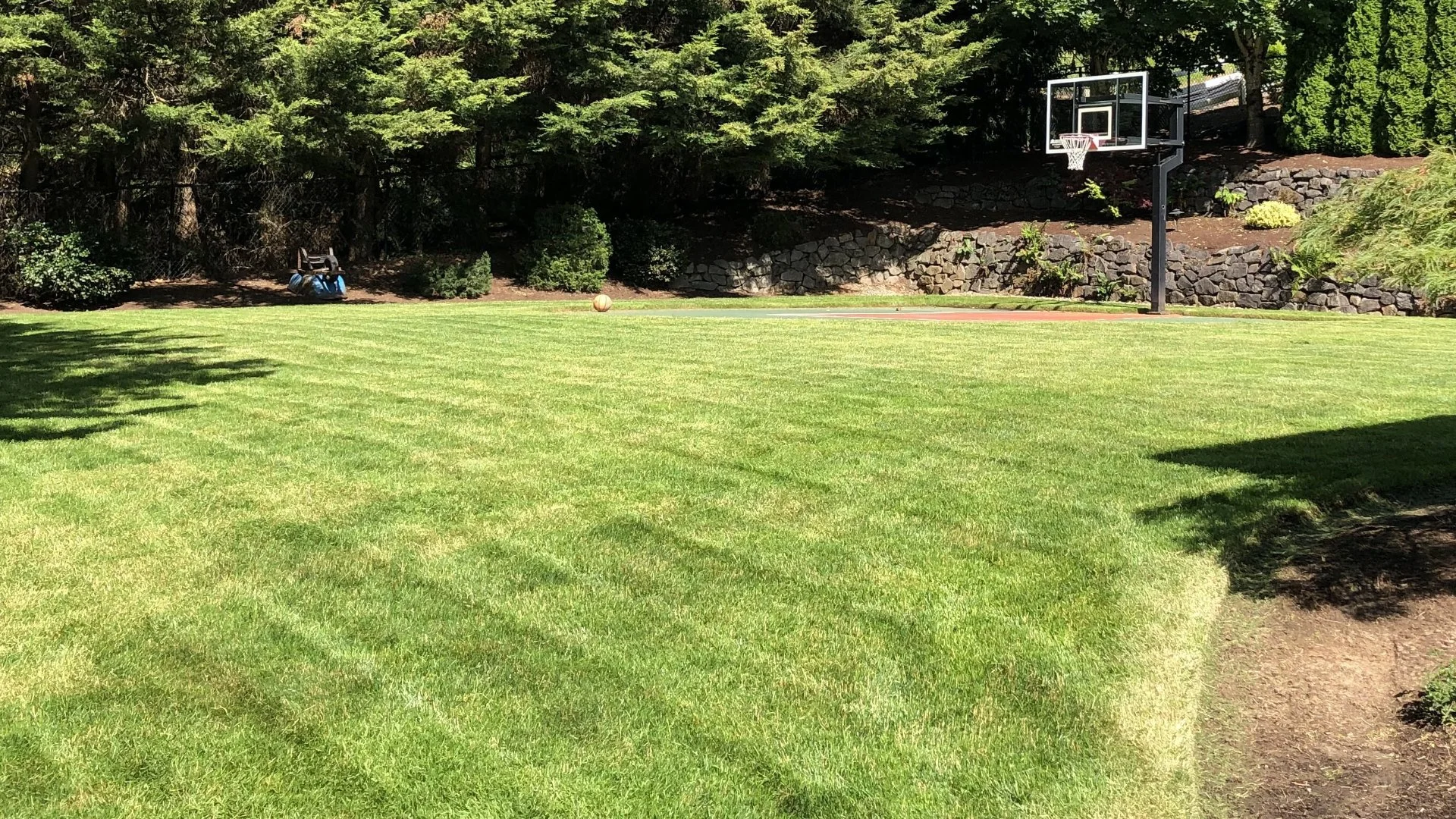 Is It Worth Applying Pre-Emergent Weed Control in the Fall?