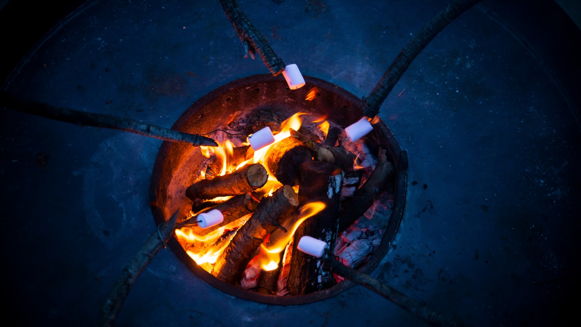 Wood-Burning Fire Pits Are the Perfect Addition to Your Outdoor Living Space
