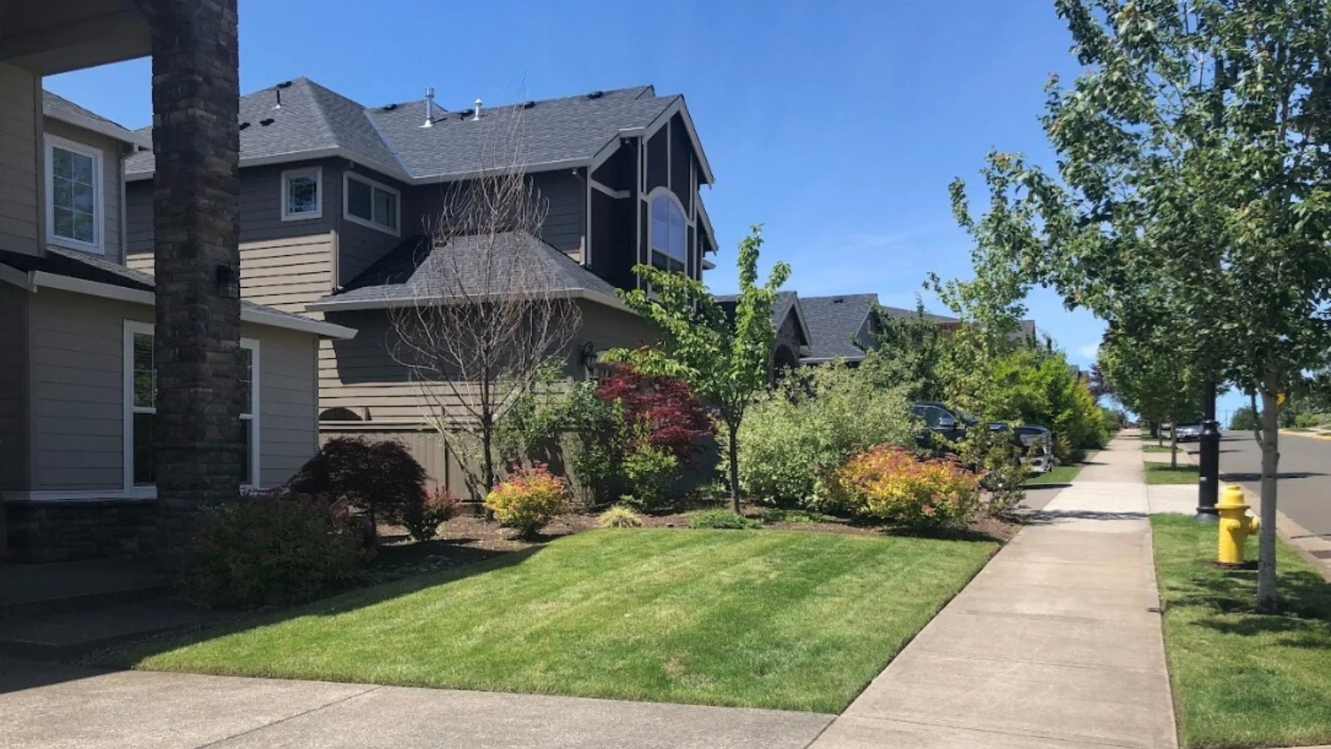 When Is the Best Time to Clean Up Your Yard in the Spring?