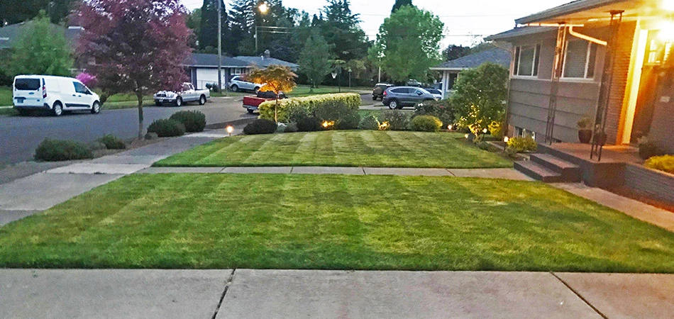 5 Reasons Mowing Your Lawn Is More Important than You Think