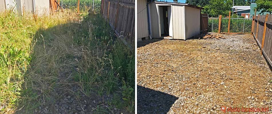 Before and after debris removal and yard cleanup in Beaverton, OR.