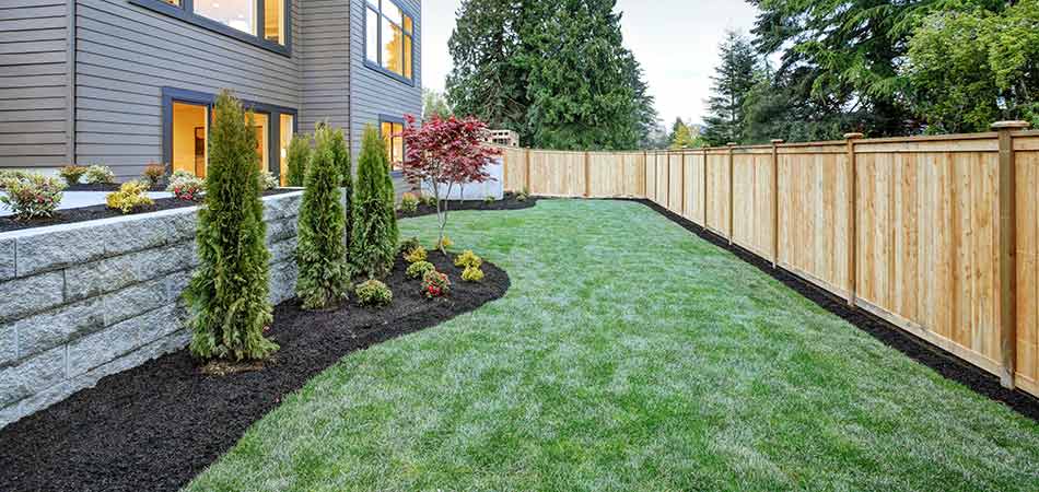 black mulch landscape