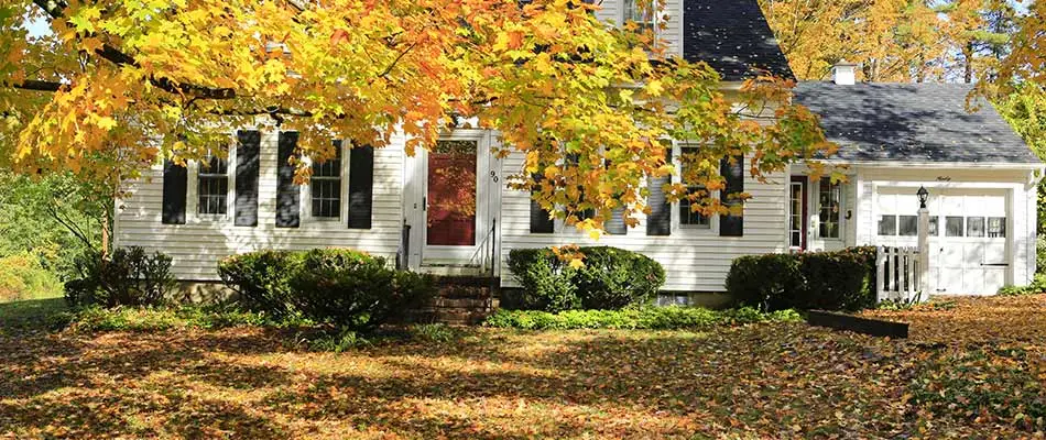 Tips to Prepare Your Landscaping for Cooler Weather