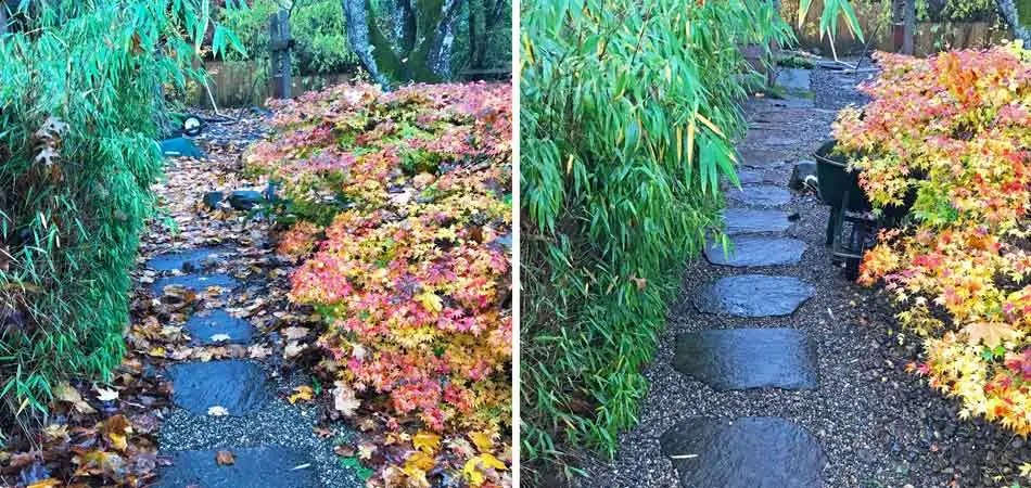 Before and after photos of a fall leaf removal service at a home in Happy Valley, OR.
