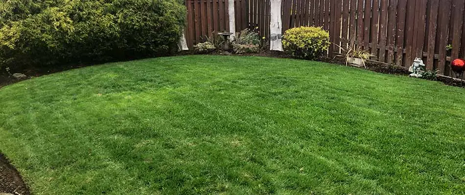 How Spring Fertilization Prepares Your Lawn for Summer