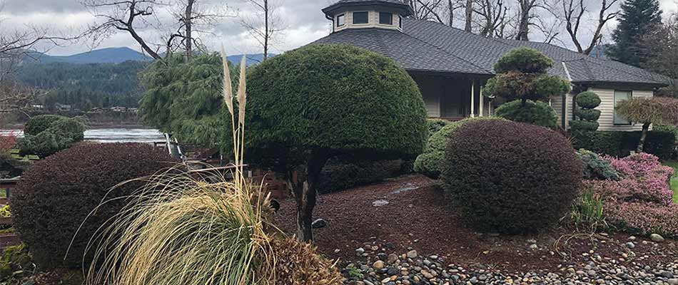 Landscape trees and shrubs with trimming services in Happy Valley, OR.