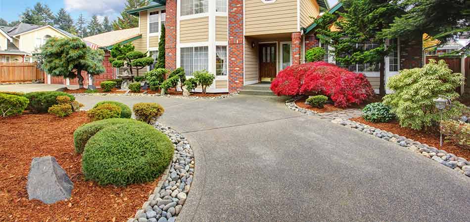 Mulch Madness: Why Your Landscaping Needs Mulch