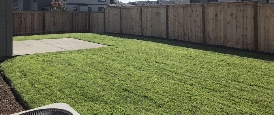 Lawn mowed after fertilization treatments in Troutdale, OR.