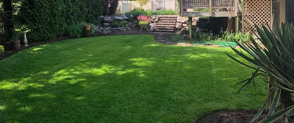 A well-fertilized lawn in Sunnyside, OR.