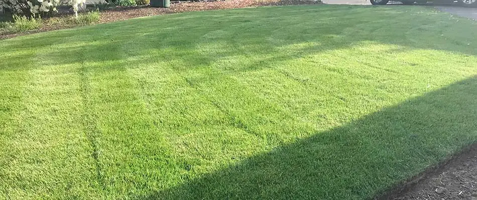 Lawn in Happy Valley, OR with vibrant mowing pattern.