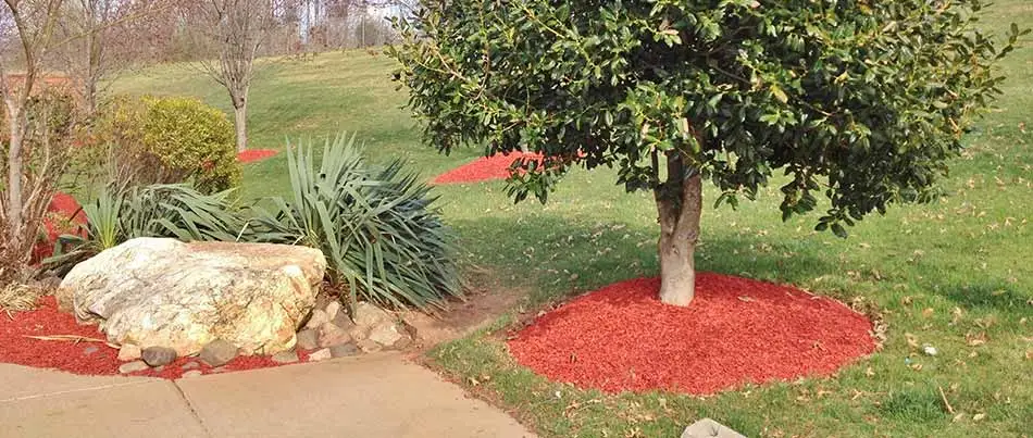 Rock vs. Mulch: Which Is Best for Your Fall Ground Cover