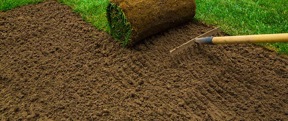 Everything You Need to Know Before Laying Sod in the ...