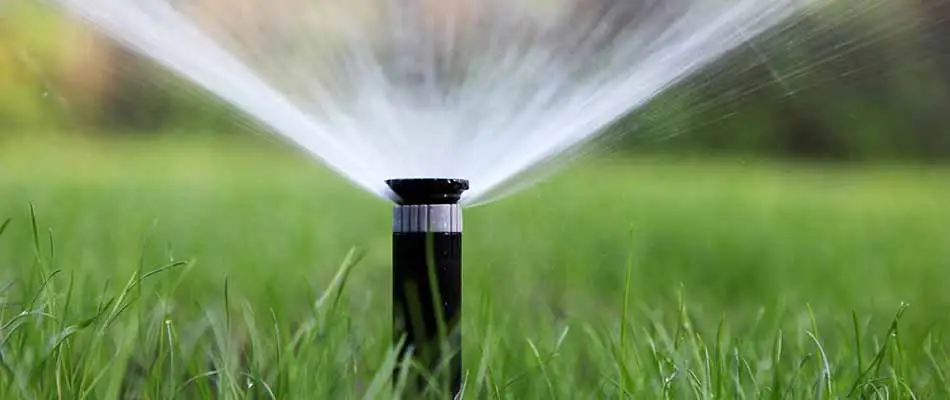 When to Stop Watering Your Lawn in Northern Oregon