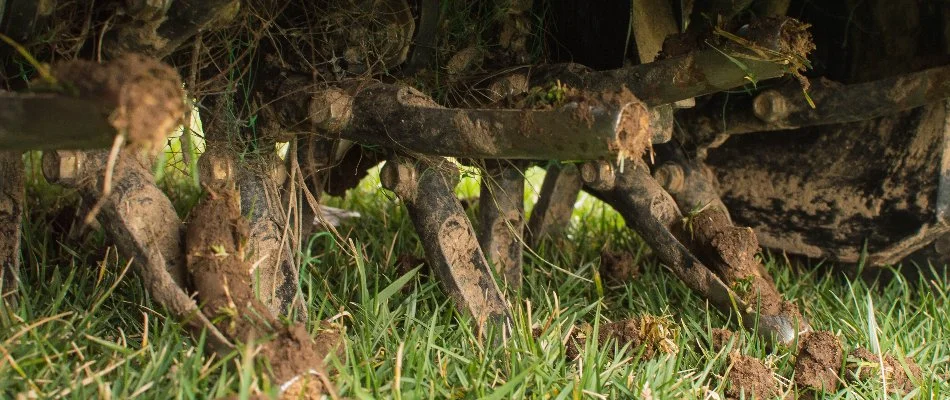 Aerator machine on a lawn in Gresham, OR.