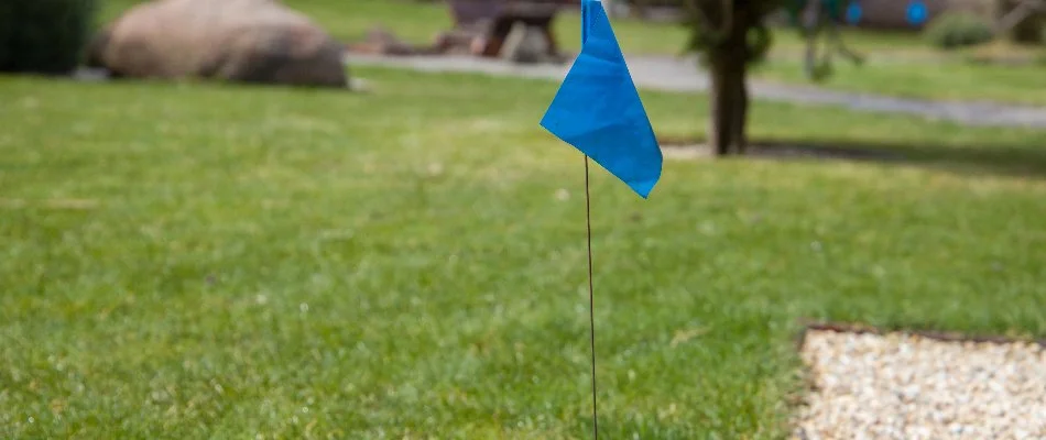 Blue flag on a lawn in Gresham, OR, marking a sprinkler head.