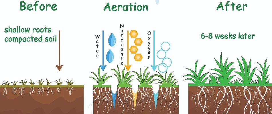Diagram showing how aeration helps lawns in Gresham, OR.