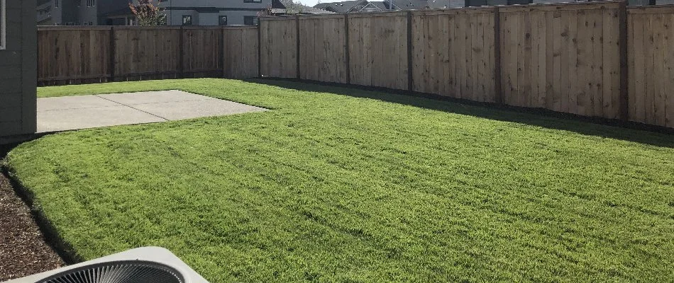 Fenced backyard in Gresham, OR, with recently mowed lawn.