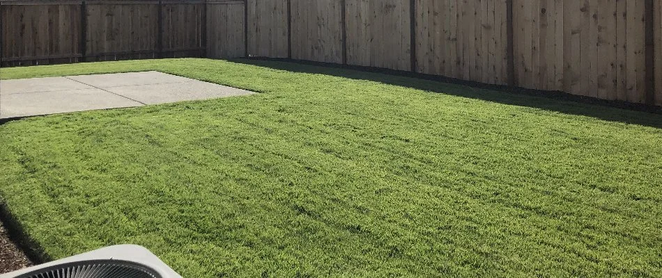 Fertilized green lawn with a patio in Gresham, OR.