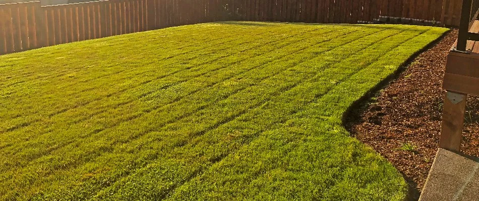 Freshly mowed lawn with striping in a backyard in Gresham, OR.