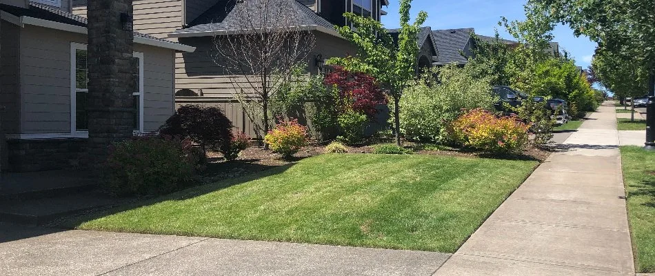 Front yard with green lawn and plants in Gresham, OR.