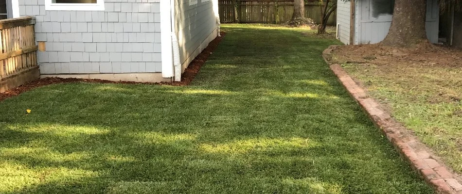 Grass around a house in Gresham, OR.
