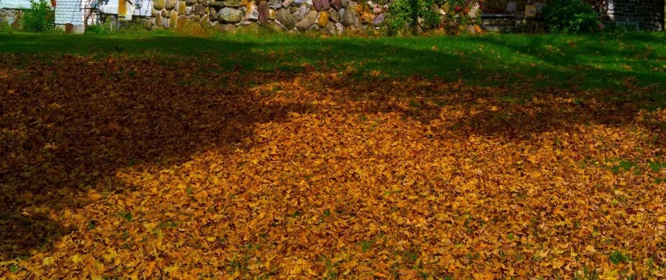Green lawn in Gresham, OR, covered in dry leaves.