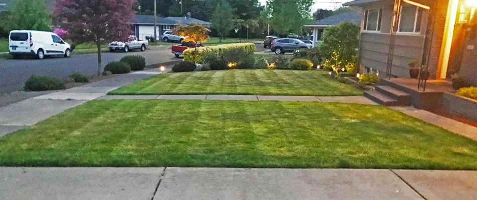 Healthy green grass with shrubs and plantings in Gresham, OR.