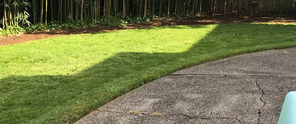 Healthy, green lawn in Gresham, OR, beside a patio.