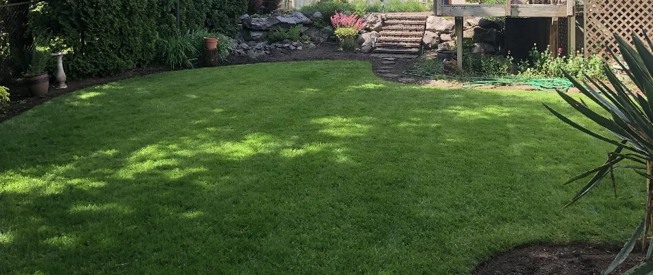 Healthy, weed-free lawn in Gresham, OR.