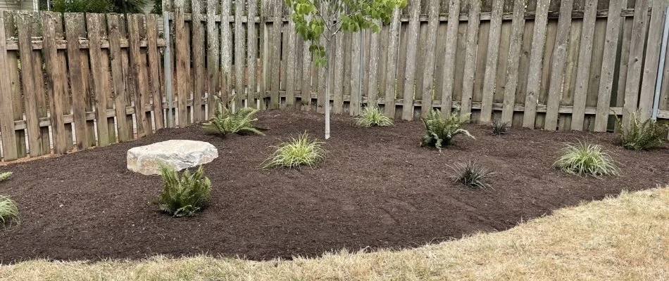 Landscape area in Portland, OR, with mulch and small plants.