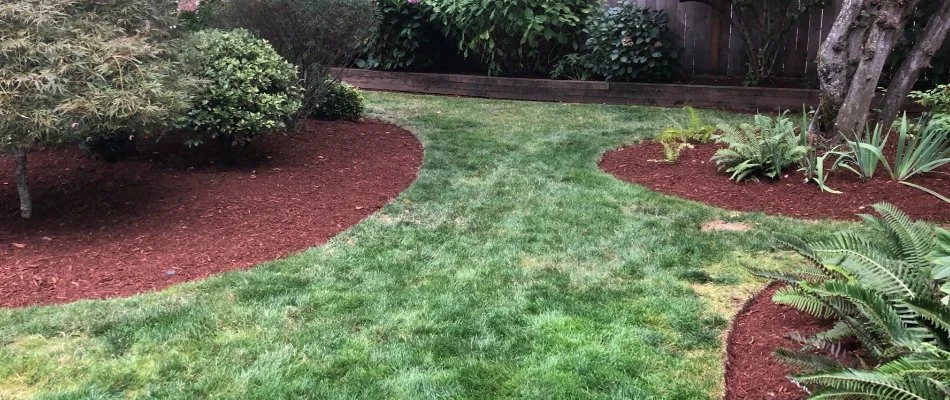 Landscape beds in Gresham, OR, with shrubs and fresh mulch.