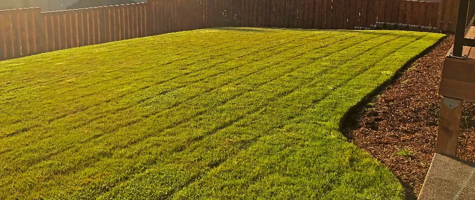 Lawn in Gresham, OR, with stripes after mowing.