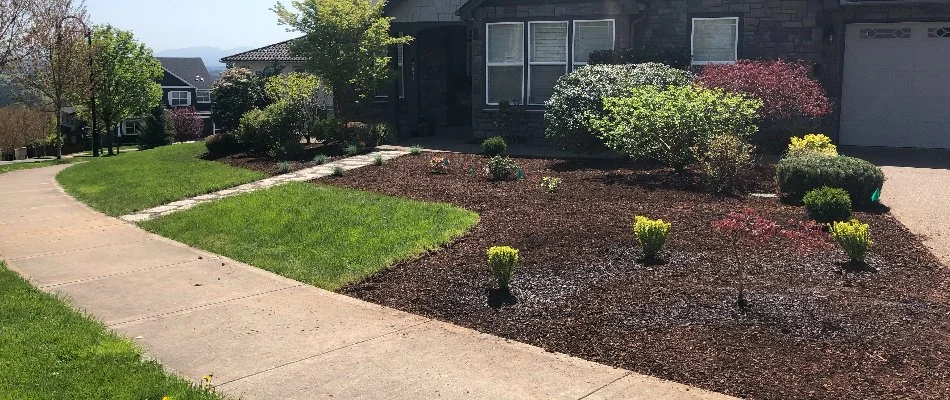 Lawn and landscape bed with mulch and shrubs in Portland, OR.