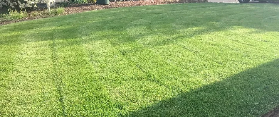 Lawn in Gresham, OR, with mowing stripes.