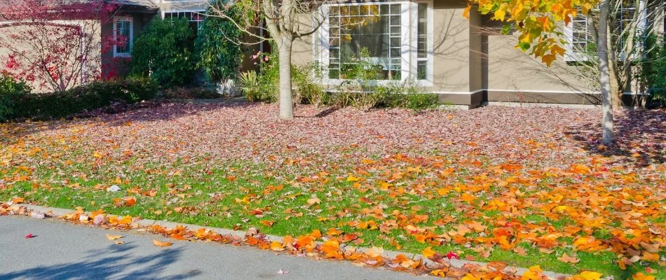 Lawn in Gresham, OR, with pile of dry leaves.