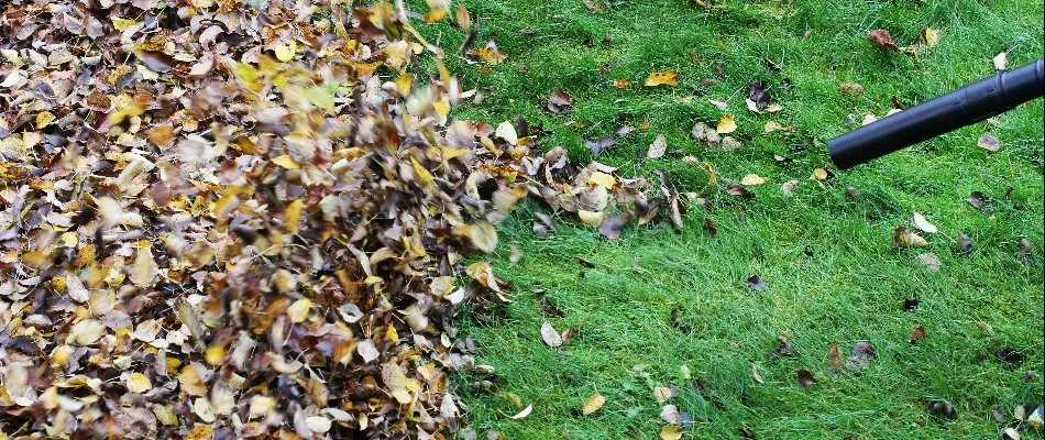 Leaf blower blowing leaves off a lawn in Gresham, OR.