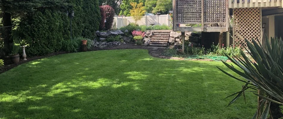 Lush grass and landscaping in a yard in Portland, OR.