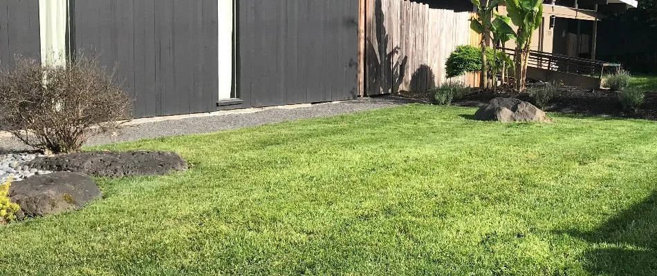 Manicured and lush lawn in Gresham, OR, with plants.