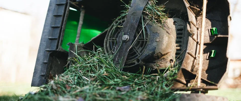 Mower clogged with wet grass clippings in Gresham, OR.