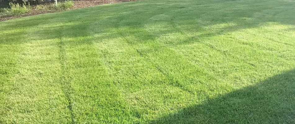 Mowing pattern on a lush, green lawn in Gresham, OR.